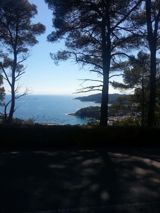 Casa Torre Cruilles Big, Stylish, Modernized 'Castle' Prime Costa Brava With Ac Vila Exterior foto
