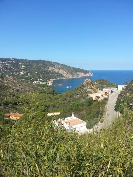 Casa Torre Cruilles Big, Stylish, Modernized 'Castle' Prime Costa Brava With Ac Vila Exterior foto